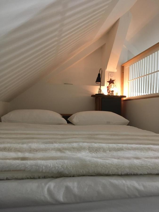 Logement Climatise Erdre Riviere ラ・シャペル・シュル・エルドル エクステリア 写真