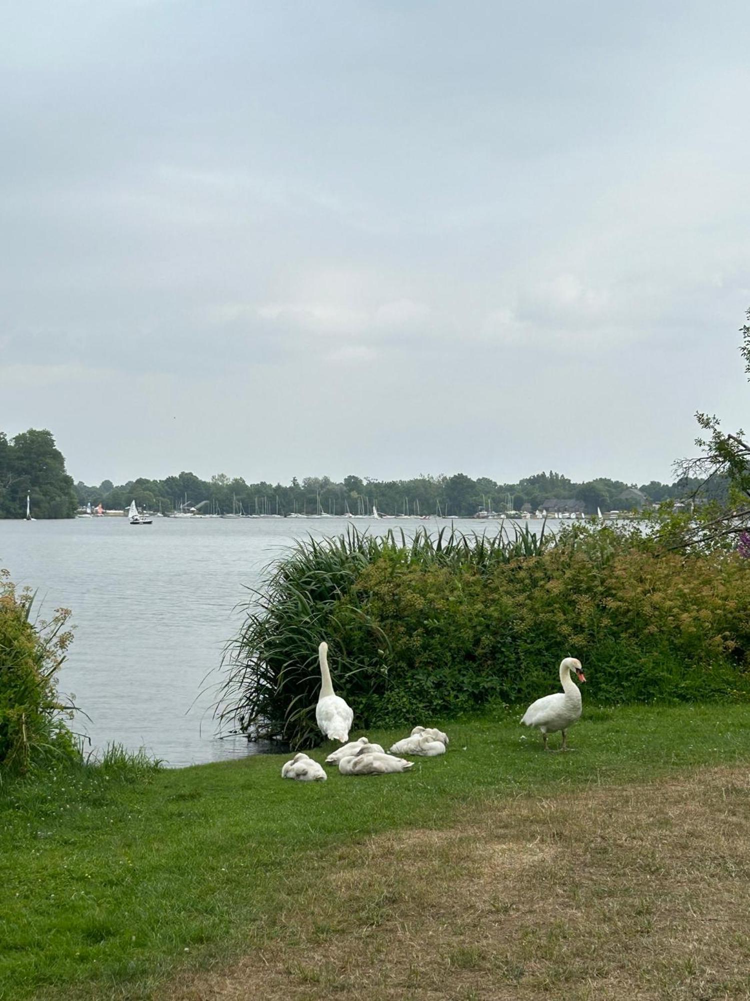 Logement Climatise Erdre Riviere ラ・シャペル・シュル・エルドル エクステリア 写真